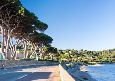 Provence and French Riviera Self-drive